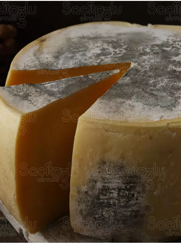 Eski Kaşar