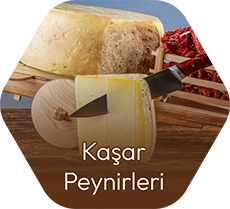 Kaşar Peynir